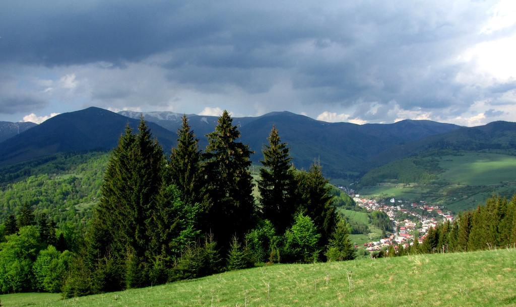 Holiday Home Skalka Mýto pod Ďumbierom Екстериор снимка